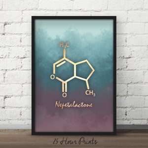 Instant Download Catnip Molecule, Nepetalactone Molecule, Nursery Art, Catnip Poster, Cat Lover, Cat Lover Gift, Cat Art