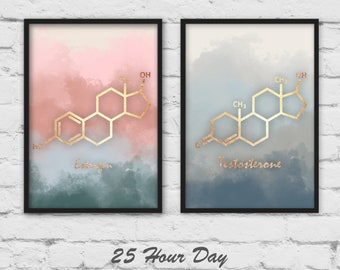 Set of 2 Nursery art, Estrogen Art, Testosterone art, Chemistry gift, nursery gift, nursery decor, 2 piece wall art, set of 2 prints