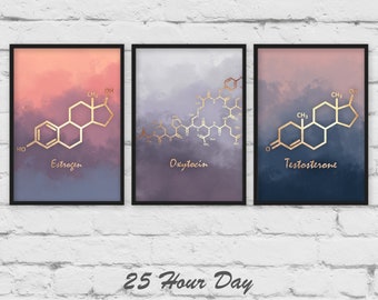 Set of Prints, Estrogen molecule, Testosterone Molecule, Oxytocin Molecule, poster, Chemistry gift, teacher gift, nursery art