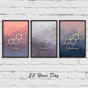 Set of Prints, Estrogen molecule, Testosterone Molecule, Oxytocin Molecule, poster, Chemistry gift, teacher gift, nursery art image 1