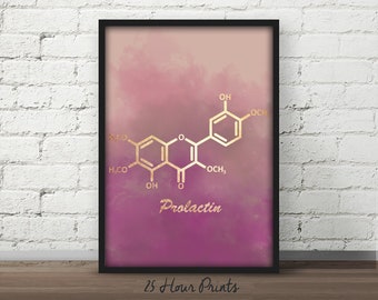 Instant Download Prolactin Molecule Art, Prolactin Poster, Chemistry Teacher Gift, Medical Gift, Science Gift, Science Posters, Medical Art