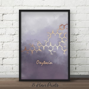 Set of Prints, Estrogen molecule, Testosterone Molecule, Oxytocin Molecule, poster, Chemistry gift, teacher gift, nursery art image 3