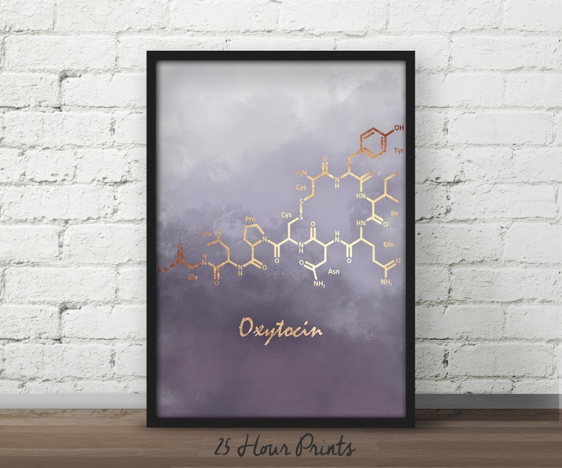 Set of Prints, Estrogen molecule, Testosterone Molecule, Oxytocin Molecule, poster, Chemistry gift, teacher gift, nursery art image 3