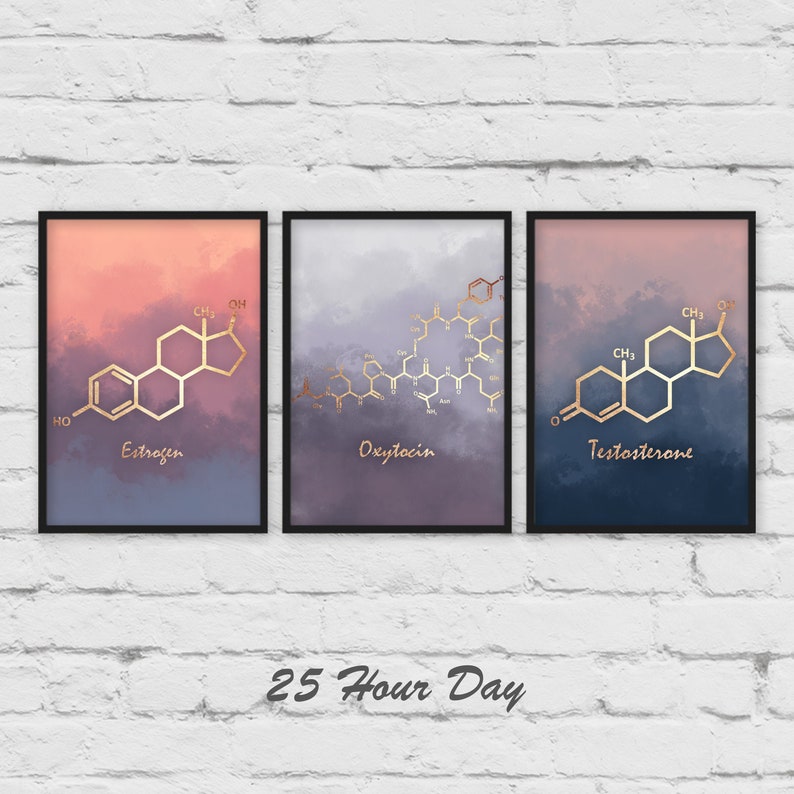 Set of Prints, Estrogen molecule, Testosterone Molecule, Oxytocin Molecule, poster, Chemistry gift, teacher gift, nursery art image 1