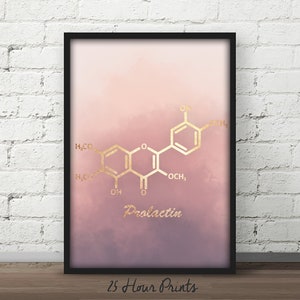 Instant Download Prolactin Molecule, Prolactin Poster, Chemistry Teacher Gift, Doctor Gift, Science Gift, Science Posters, Fertility Art