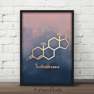 Set of Prints, Estrogen molecule, Testosterone Molecule, Oxytocin Molecule, poster, Chemistry gift, teacher gift, nursery art image 4