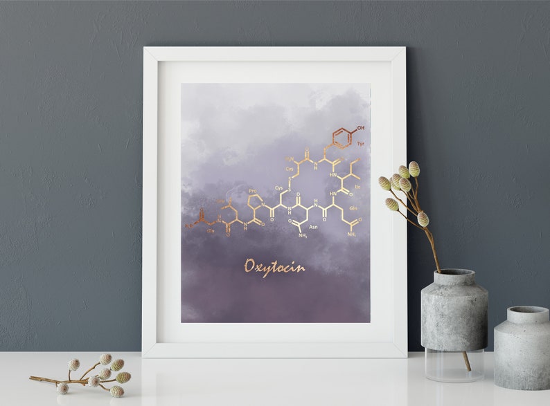 3 Piece wall art, Set of 3 Prints, Serotonin molecule poster, Dopamine Molecule art, Oxytocin poster, Chemistry gift, teacher gift image 9