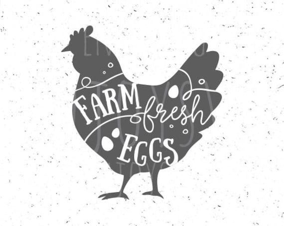 Farm Fresh Eggs Svg Farm Svg Farm Fresh Eggs Svg File Chicken Etsy