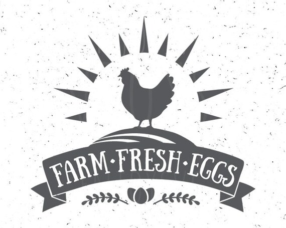 Download Farm Fresh Eggs Svg Farm Svg Farm Fresh Eggs Svg File Farm Svg Etsy
