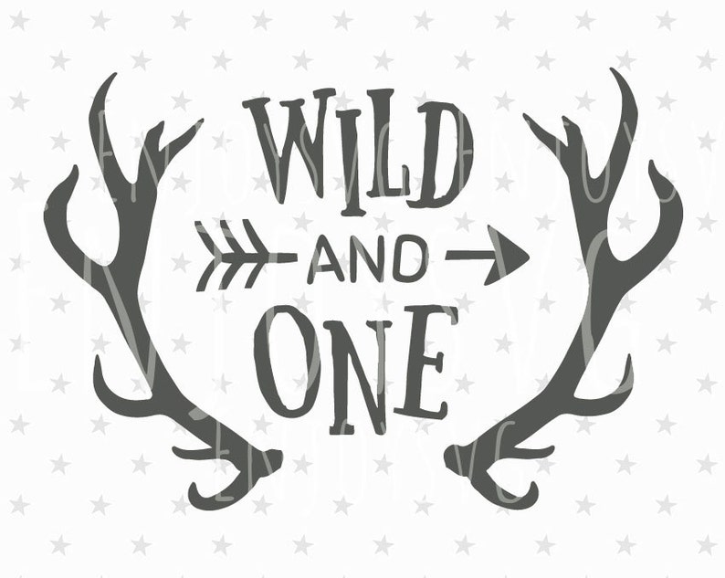 Download Wild and One SVG Files Baby Birthday svg Wild One Svg Cut ...