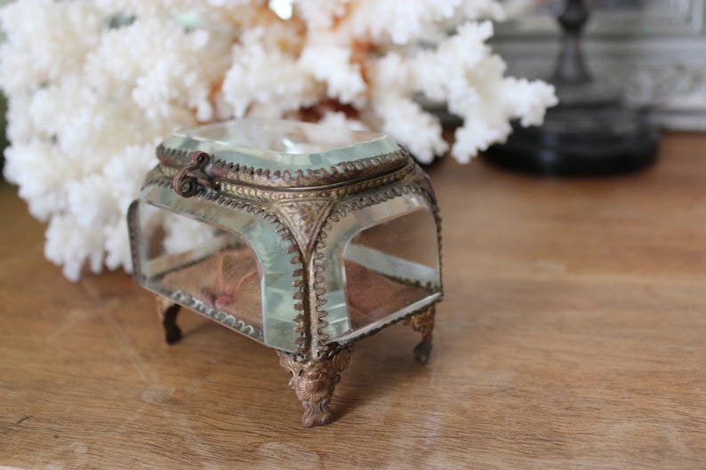 May include: A small, clear glass box with a gold metal frame and ornate details. The box has a hinged lid and sits on four decorative feet.