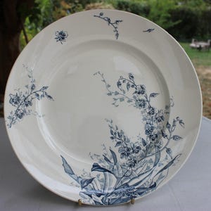 Peut inclure: Une assiette ronde en céramique avec une base de couleur crème et un motif floral bleu foncé. Le design présente des illustrations botaniques délicates de fleurs et de feuilles dispersées sur la surface, concentrées sur le côté inférieur droit.