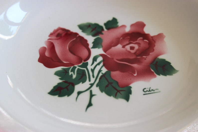 2 plates Digoin /& Sarreguemines soup model Cibon