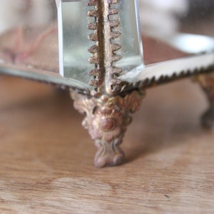 May include: A glass display case with ornate gold metal feet. The case is made of clear glass and has a decorative, ornate design.