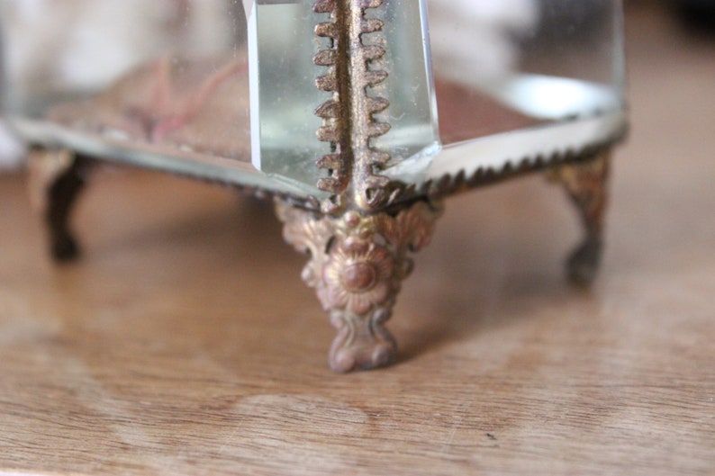 May include: A glass display case with ornate gold metal feet. The case is made of clear glass and has a decorative, ornate design.