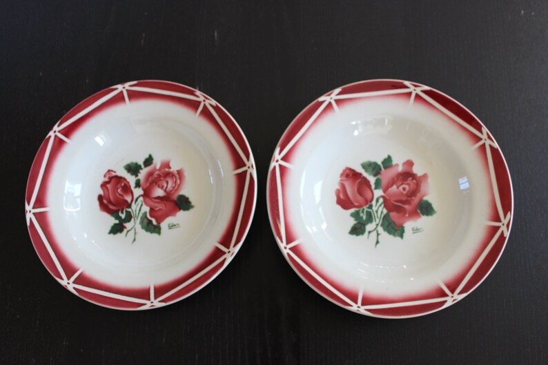 2 plates Digoin /& Sarreguemines soup model Cibon