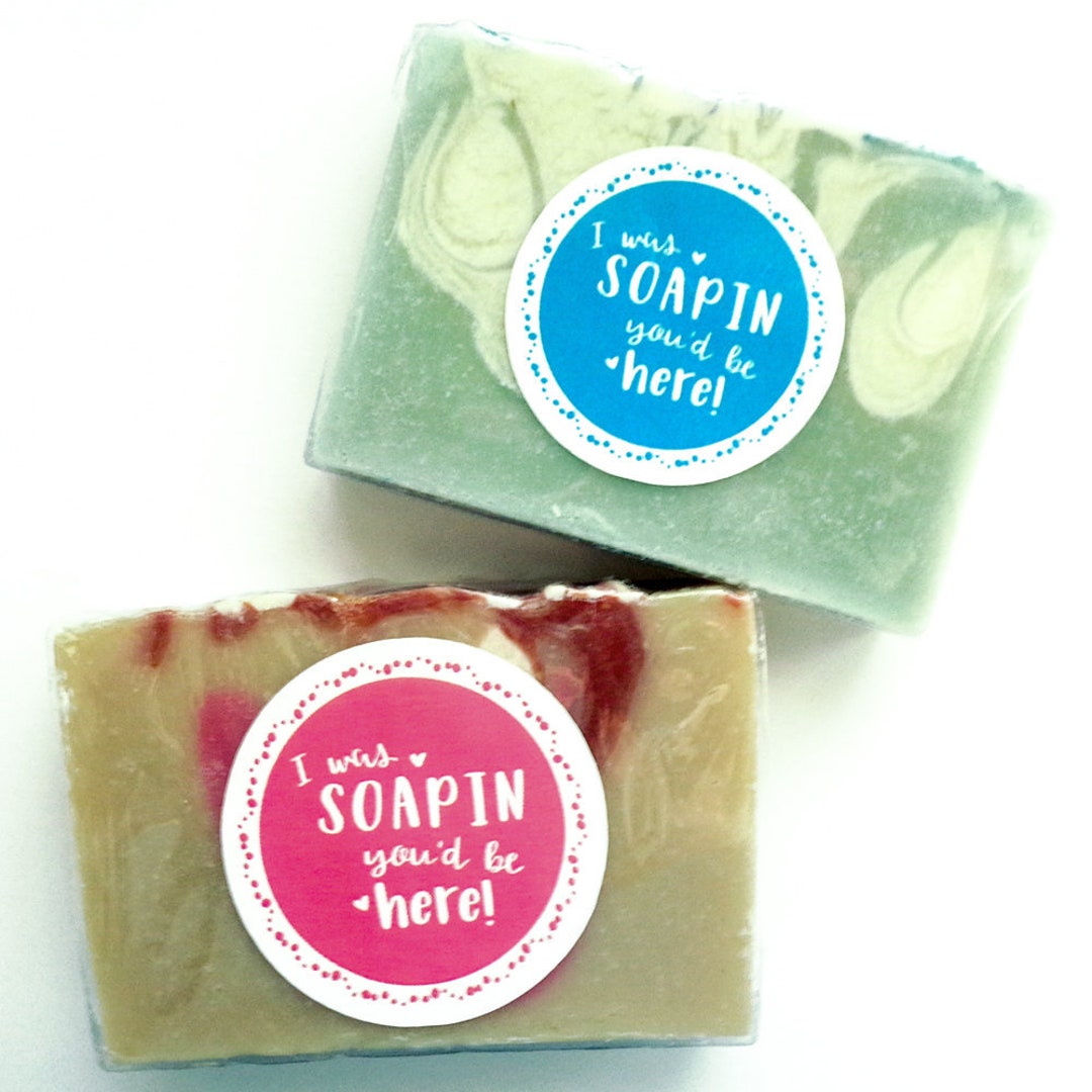 Pun Soap Stickers I Was Soapin You'd Be Here Stickers for Etsy