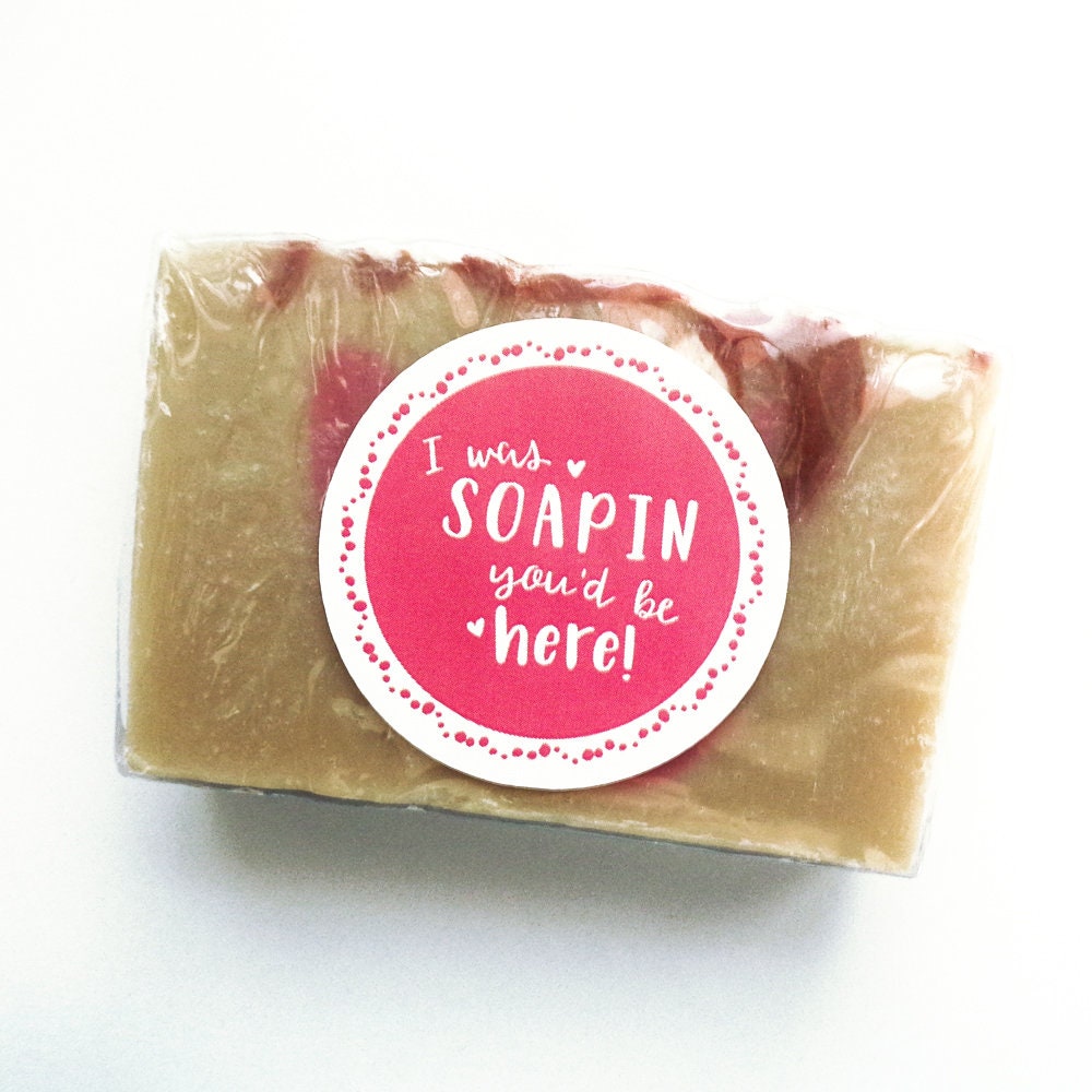 Pun Soap Stickers I Was Soapin You'd Be Here Stickers Set Etsy