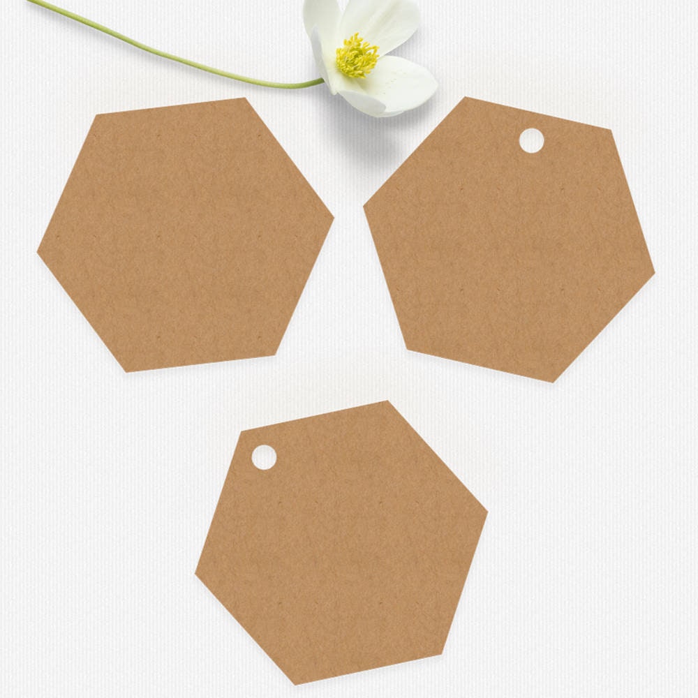 Kraft Hexagon Tags Die Cut Hexagons Blank Kraft Tags Choose Etsy