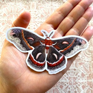 Cecropia Moth Sticker: Waterproof Vinyl Watercolor Painting immagine 7