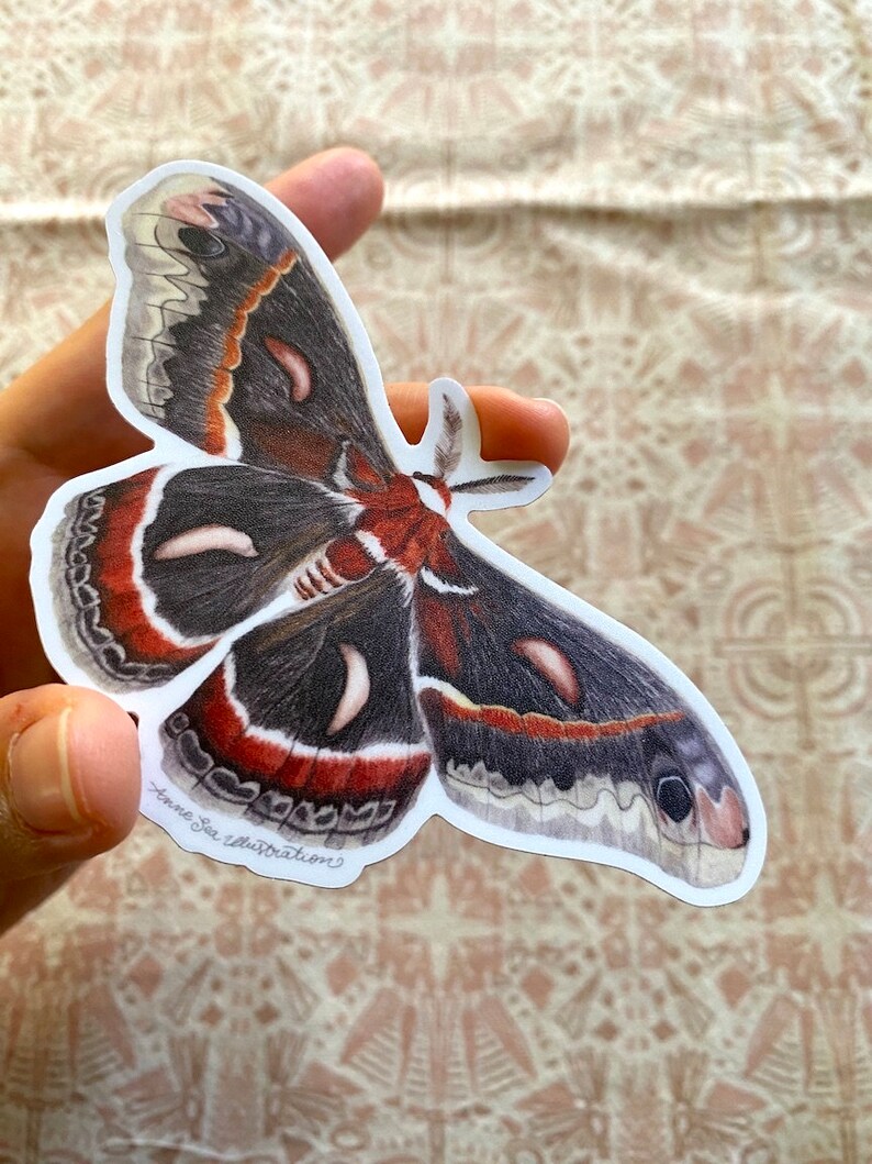 Cecropia Moth Sticker: Waterproof Vinyl Watercolor Painting immagine 2