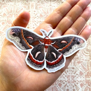 Cecropia Moth Sticker: Waterproof Vinyl Watercolor Painting immagine 1