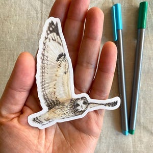 Flying Short-Eared Owl Vinyl Sticker - Watercolour stickers