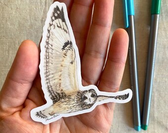 Flying Short-Eared Owl Vinyl Sticker - Watercolour stickers