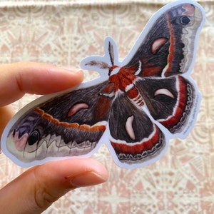 Cecropia Moth Sticker: Waterproof Vinyl Watercolor Painting immagine 4