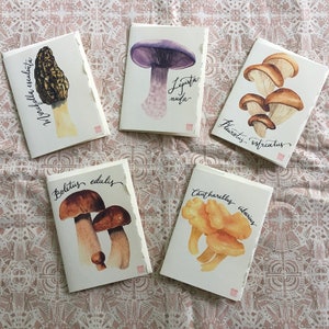 Jeu de cartes de remerciement champignons - 5 petites cartes - carte de remerciement - aquarelle - champignons comestibles