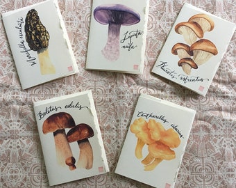 Mushrooms Thank you Card Set - 5 small cards - Thank you card - Watercolour Painting - Edible mushrooms