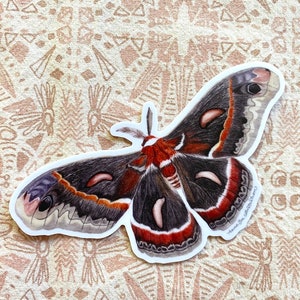Cecropia Moth Sticker: Waterproof Vinyl Watercolor Painting immagine 5