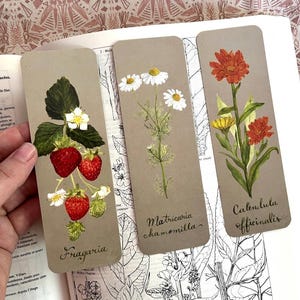 Marque-page jardin - marque-page au calendula - marque-page fraise - marque-page au calendula - aquarelle - lot de marque-pages