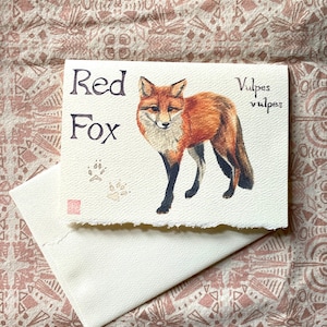 Renard Nature Journal - lot de 5 cartes - carte de voeux d'automne - cartes pour amoureux de la nature - aquarelle