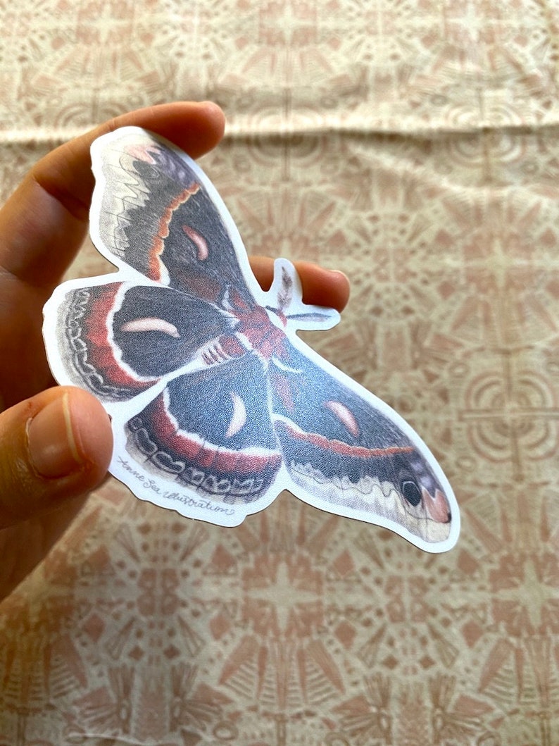 Cecropia Moth Sticker: Waterproof Vinyl Watercolor Painting immagine 3