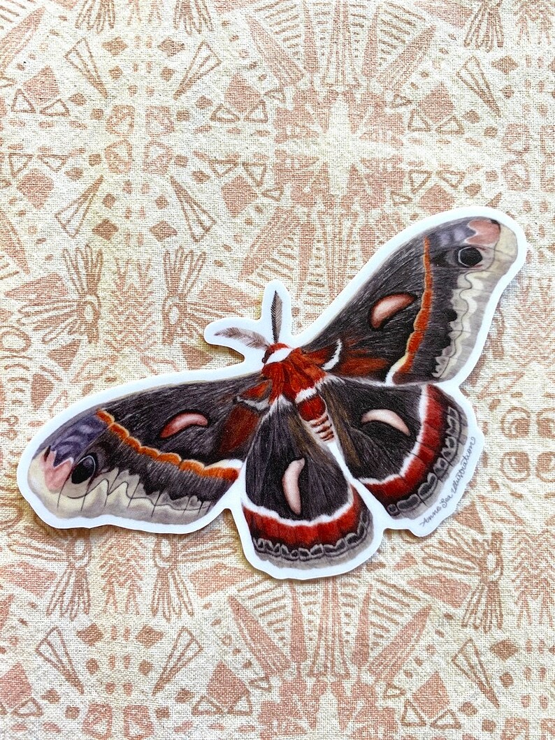 Cecropia Moth Sticker: Waterproof Vinyl Watercolor Painting immagine 8