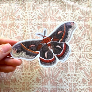 Cecropia Moth Sticker: Waterproof Vinyl Watercolor Painting immagine 6
