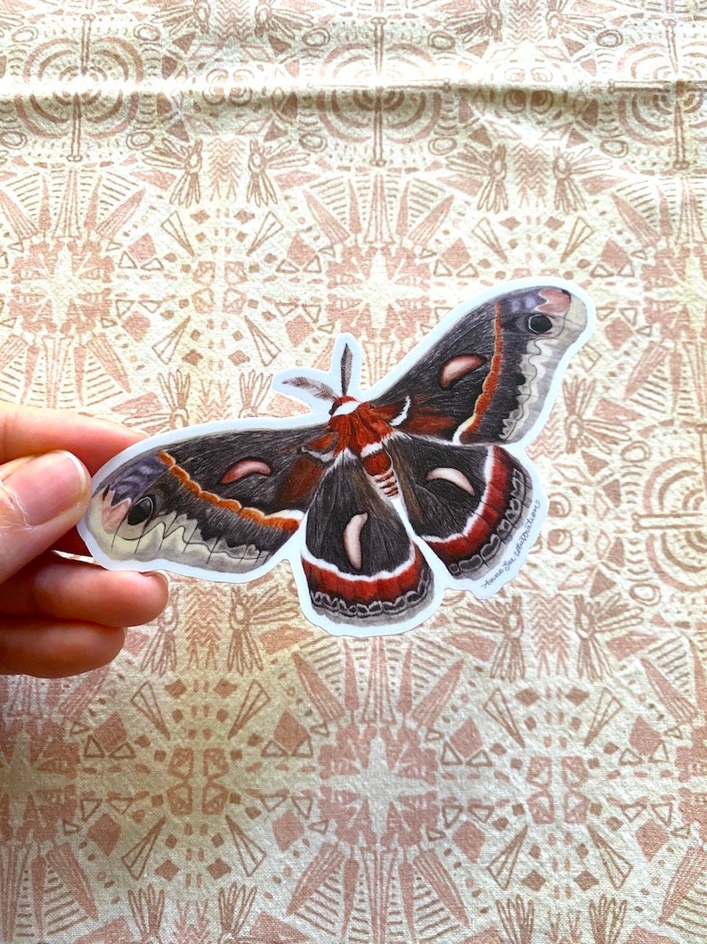 Cecropia Moth Sticker: Waterproof Vinyl Watercolor Painting immagine 6