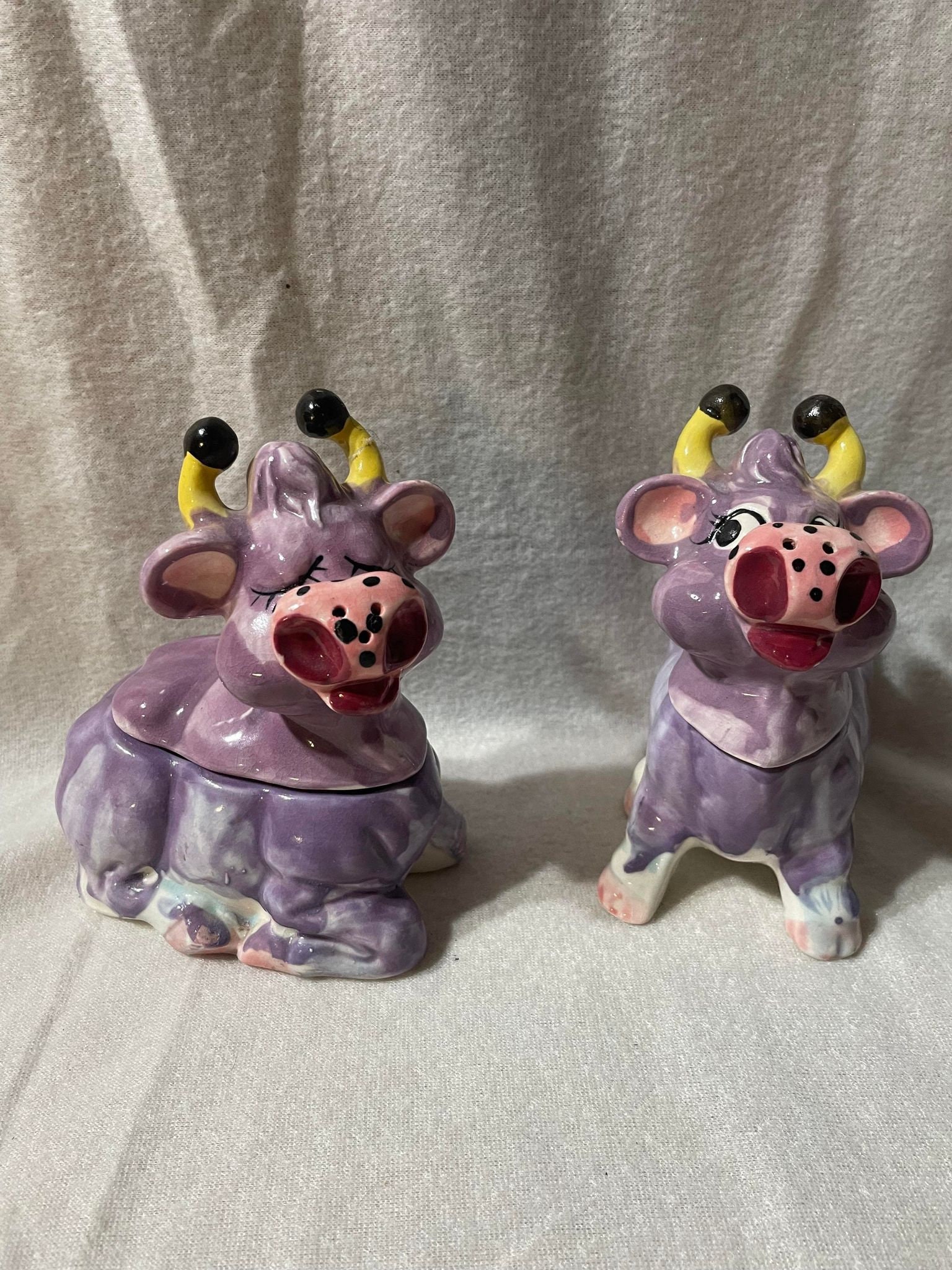 Purple salt and pepper shakers deals
