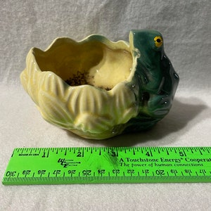 May include: A yellow and green ceramic frog planter. The frog is sitting on a bed of green leaves. The planter has a wide, shallow bowl.
