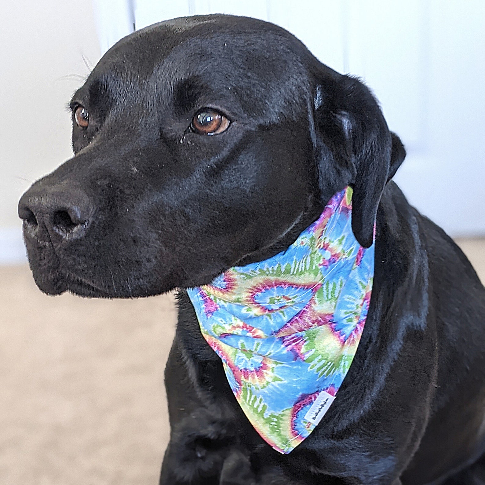 Personalized Tie Dye Bandana Tie Dye Dog Gifts Summer Dog Etsy