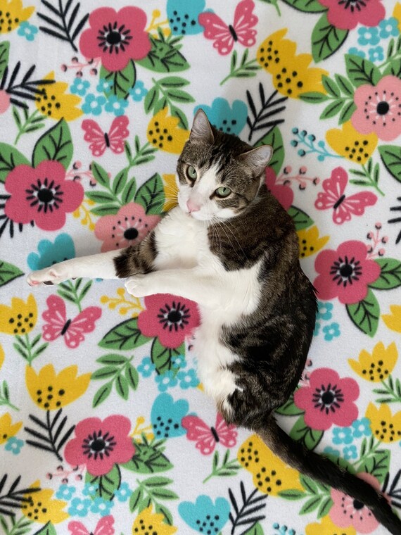 Fleece Cat Blanket Etsy