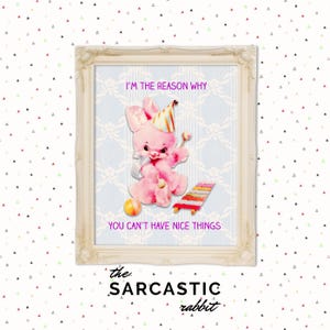 May include: A pink bunny rabbit wearing a party hat and holding a toy xylophone. The image has the text "I'm the reason why you can't have nice things." and "the sarcastic rabbit".