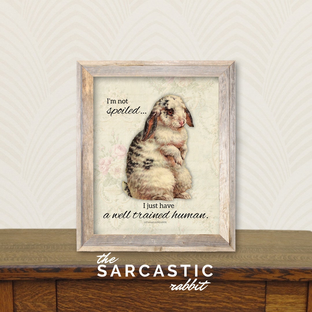 Well Trained Human, Bunny, Rabbit, Art, Print, Poster, 8x10, Instant ...