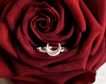 May include: A silver crescent moon ring sits inside a deep red rose.