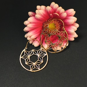 Peut inclure: Une paire de boucles d'oreilles créoles dorées avec un motif d'étoile géométrique. Les boucles d'oreilles sont sur un fond noir avec une fleur rose.