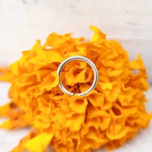 Puede incluir: Un aro de nariz plateado se muestra sobre una flor naranja brillante con pétalos rizados. El aro es circular y tiene un diseño sencillo. La flor se encuentra sobre un fondo blanco.