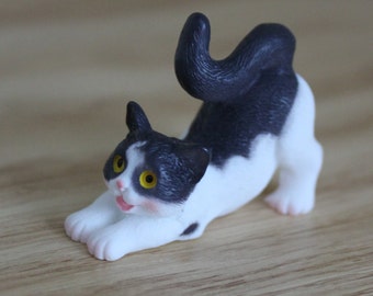 Miniature black and white cat stretching