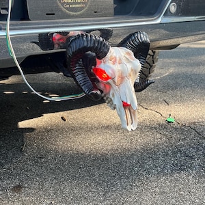 black horn hitch cover with LED brake light.