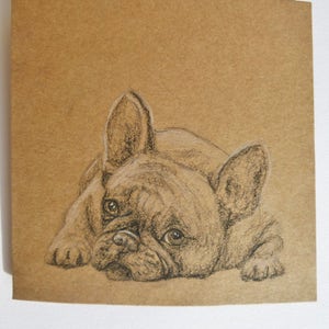 Tarjeta de regalo de Bulldog Francés, Tarjeta de felicitación dibujada a mano, Tarjeta de cumpleaños de perro lindo, Tarjeta de cachorro dulce, Tarjetas de nota de perro, Tarjeta de mascota, Persona de perro, Dueño